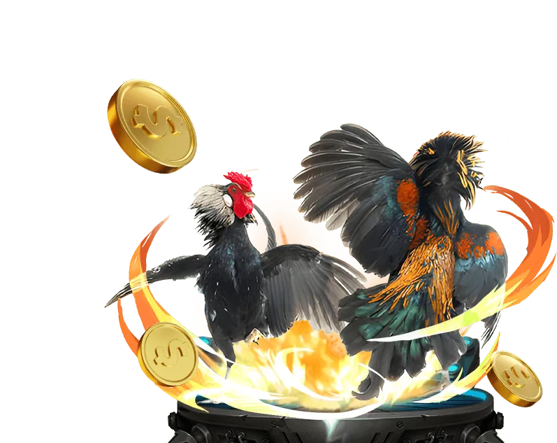 Cách chọn nền tảng đá gà trực tuyến tốt nhất và an toàn